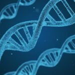 How accurate are dog DNA tests? We unleash the truth