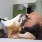 The big idea: do animals have emotions?