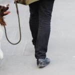 Metro Vancouver dog owners express concern after pets receive electric shocks walking on sidewalks