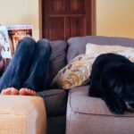 Pets are part of the family. That makes it harder when veterinary care is out of reach