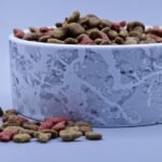 3 pet food trends for 2023