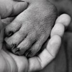 Do Pets Grieve, Too? Experts Explain How To Help Them Through Loss.