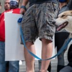 Canada bans testing of cosmetics on animals, in line with dozens of other countries