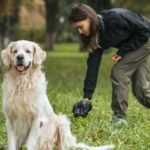 A dog is sitting in the grass while a woman behind is picking up waste