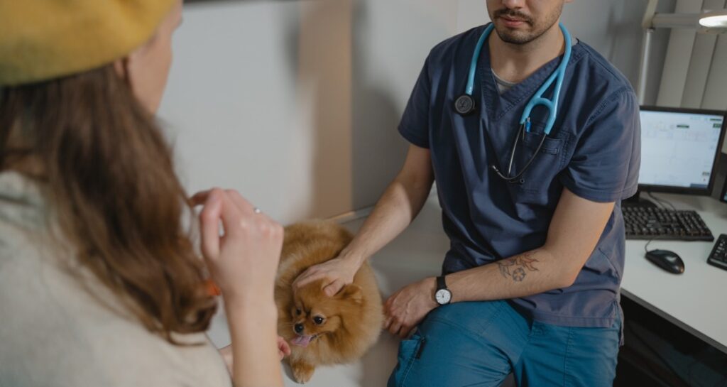 A dog is sitting with a veterinarian and their owner