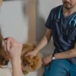Study reveals underarm pet thermometers are faster, reduce necessary restraint
