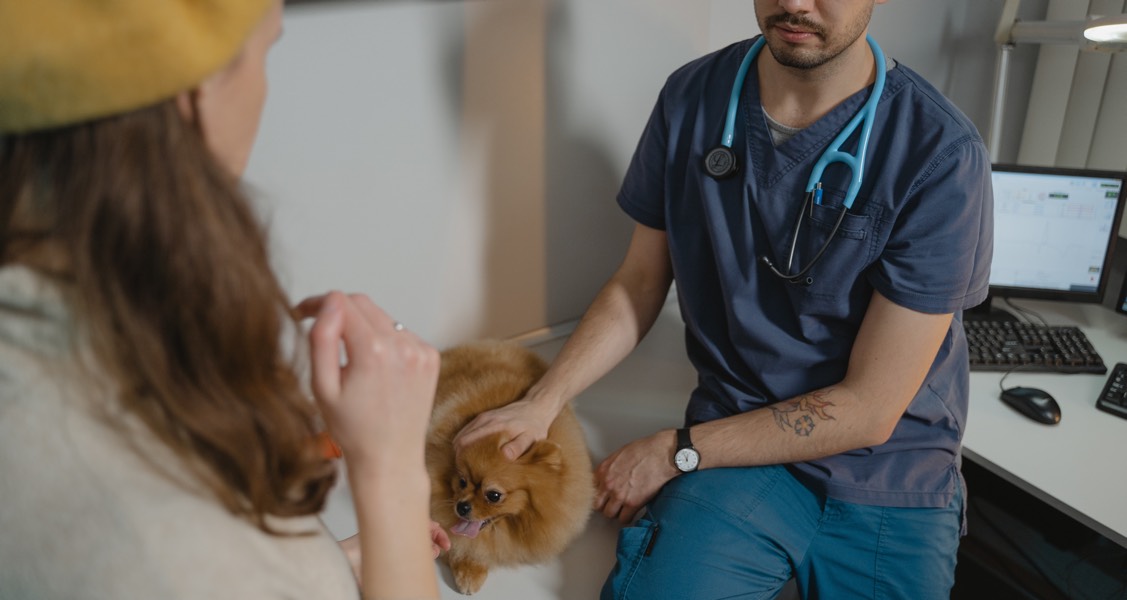 Study reveals underarm pet thermometers are faster, reduce necessary ...
