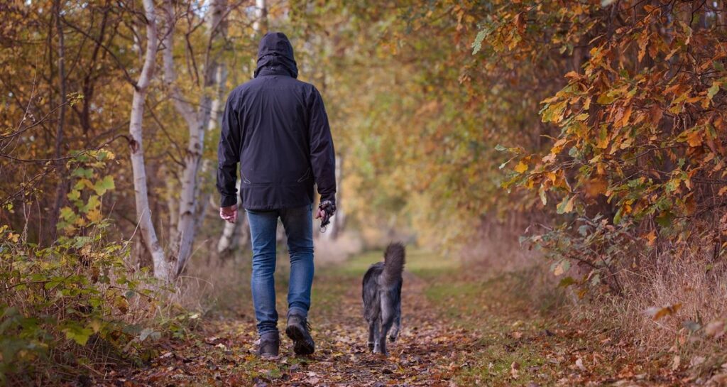 An owner is walking a dog on a trail in the fall