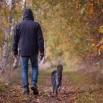 Climate concerns following latest CRGV dog fatality confirmation