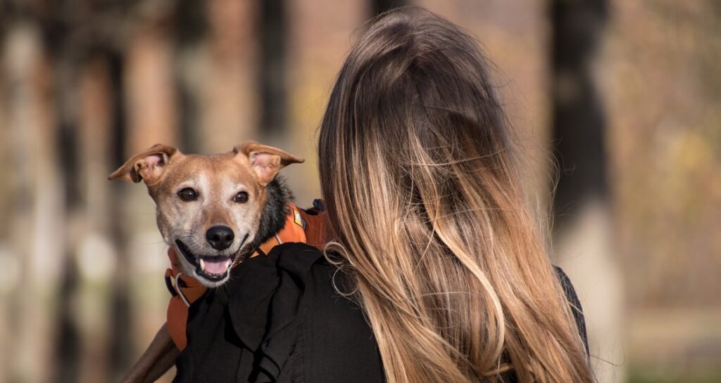 A woman is holding a dog in their arms with its mouth open