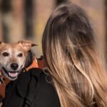 Emotional Support Animals Benefit Those With Chronic Mental Illness