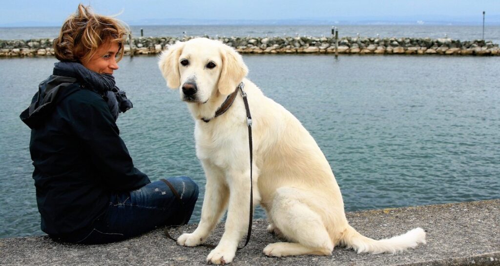 A woman is sitting with a white golden retriever by the water