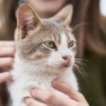 Human Years To Cat Years Calculator