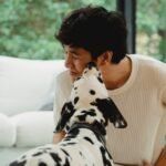 Is it okay to kiss your pet? The risk of animal-borne diseases is small, but real