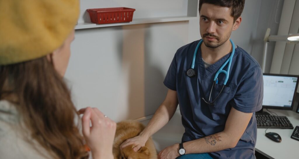 A veterinarian is talking to a pet owner in an exam room