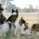 Owning a dog in Canada will cost over $3,000 this year, according to a new report.