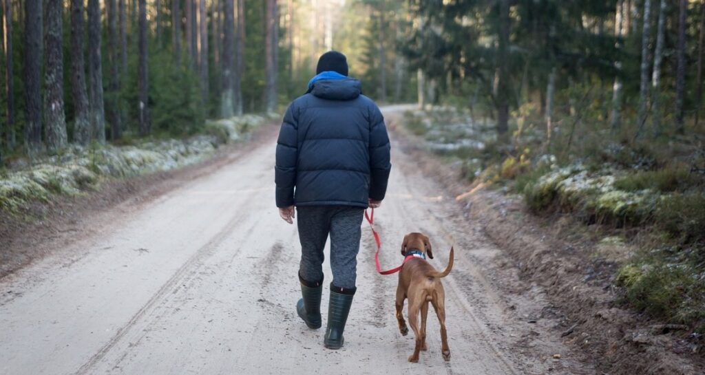 A man is walking their dog on a dirt road