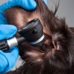 Common Dog Issues That Require Medical Examination