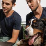 Paws for Progress: Integrating Dog Therapy into Classroom Settings