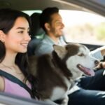 A couple is driving in the car with a dog on the woman's lap