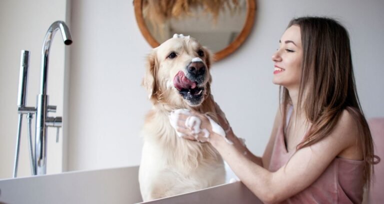 A dog is being washed by a woman in a bathtub