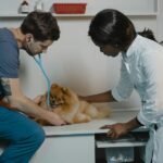 New AVMA research finds pet owners overwhelmingly prefer veterinarian-led care for their pets