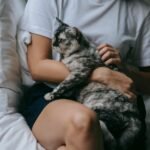 Whiskers, Woofs, and Wellness: How Pets Keep Us Feeling Fine