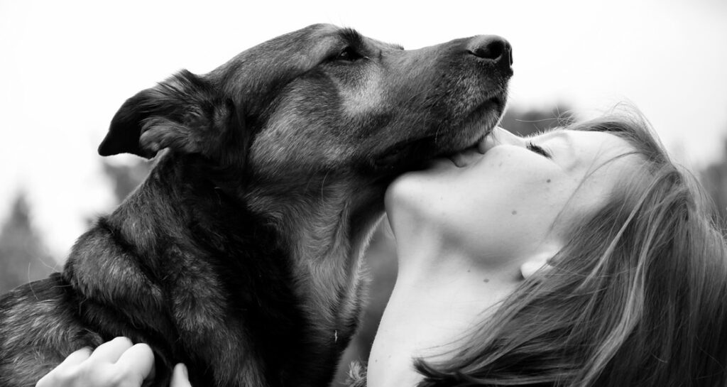 A dog is being kissed under its jaw by an adolescent girl