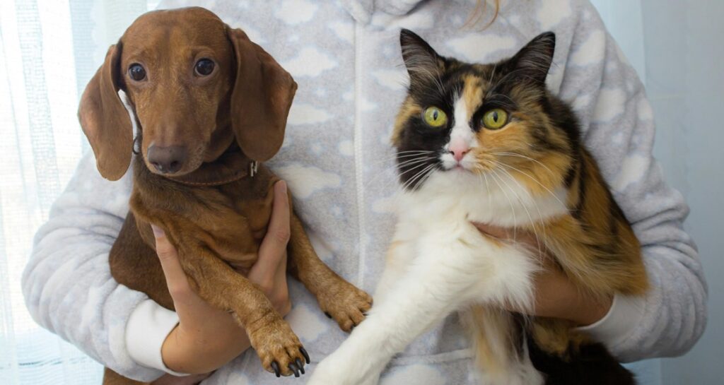 A woman is holding a cat and a dog in either arm