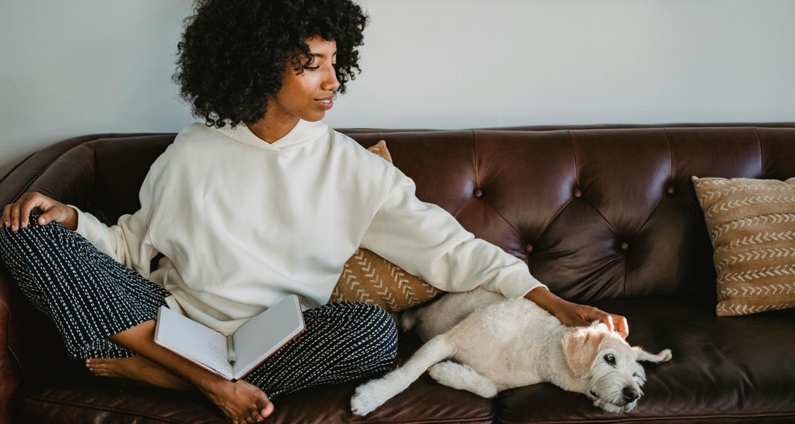 How Your Dog Can Benefit Your Studying Routine