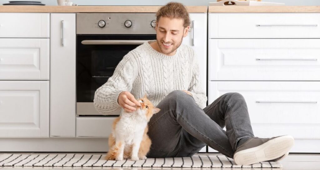 A man is feeding a cat by hand in the kitchen