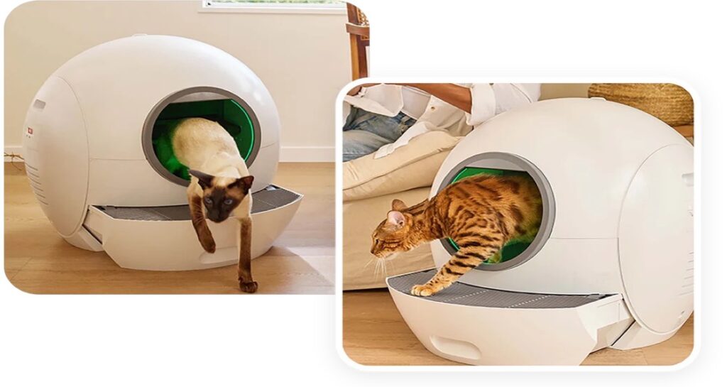 Two cats are exiting separate enclosed litter boxes