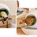 Choosing the Right Cat Litter Box: A Comprehensive Guide