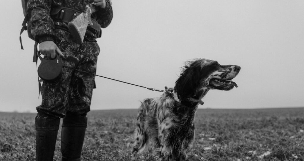 A military dog is on a leash outside