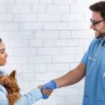 A male veterinarian is shaking a female dog owner's hand