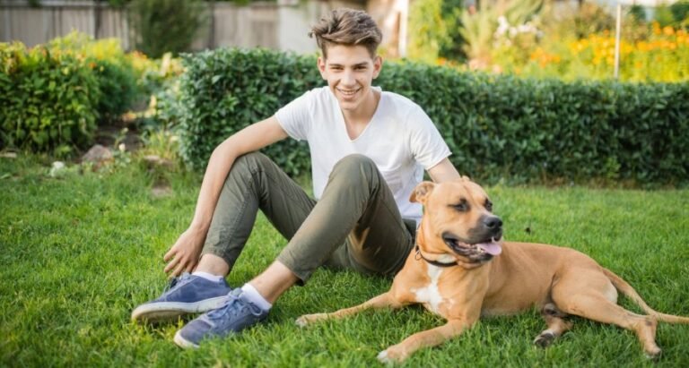 A boy is sitting with a boerboel in the grass