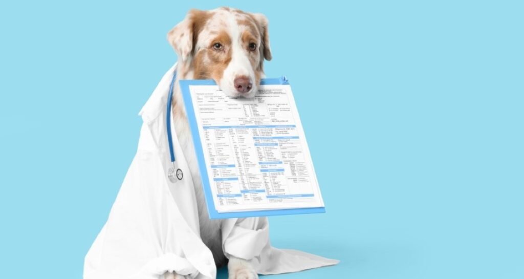 A dog wearing a lab coat and stethoscope is holding a clipboard