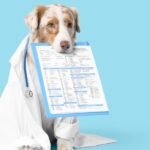 A dog wearing a lab coat and stethoscope is holding a clipboard