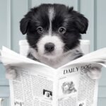 A cartoon of a dog reading a newspaper on the toilet