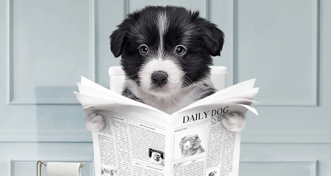 A cartoon of a dog reading a newspaper on the toilet