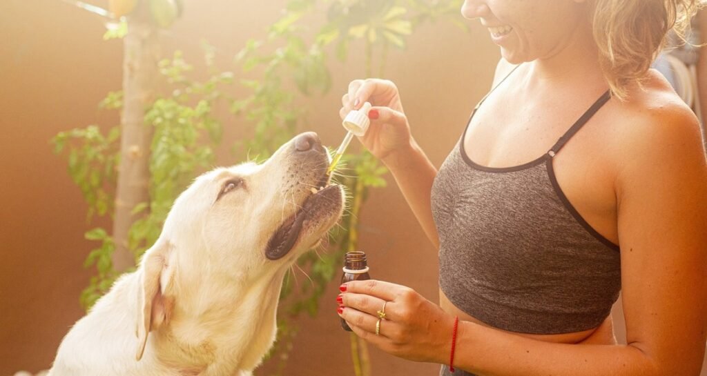 A woman giving a supplement to a dog with a dropper