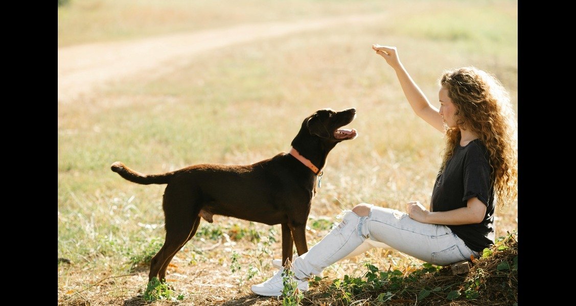 A woman is holding a treat above a dog's head outside