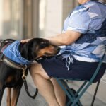 A woman sitting in a chair is petting a service dog