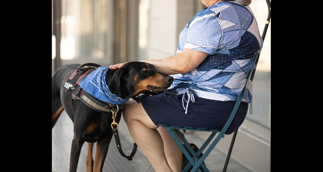 A woman sitting in a chair is petting a service dog