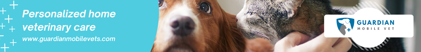 Top Banner Ad
