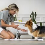 A woman is brushing a dog's teeth