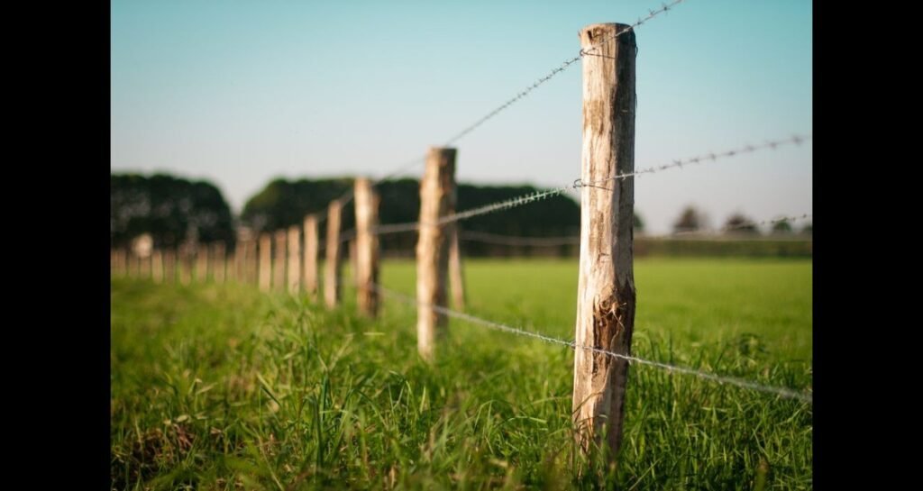 A barbed wire fence in a field