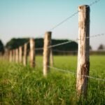 A barbed wire fence in a field
