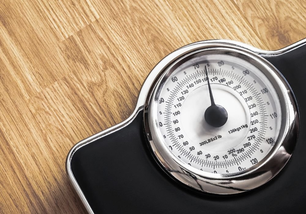 How to Weigh Large Pets