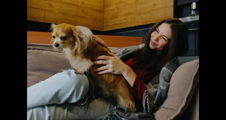 A woman is petting a dog on her lap